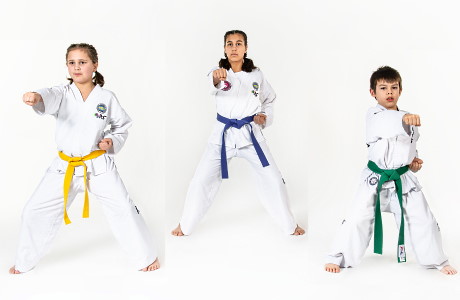 Taekwon-Do Jeugd is speciaal voor jongeren tussen de 7 en 11 jaar.